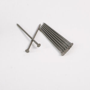 Common Nails